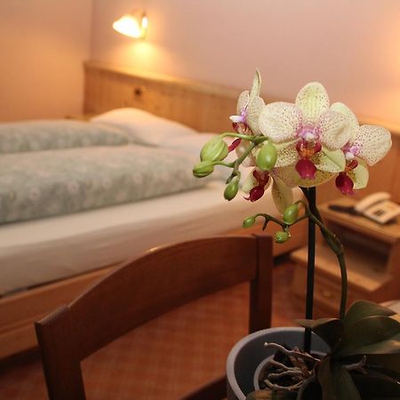 Albergo Caravasc ليفينو المظهر الخارجي الصورة